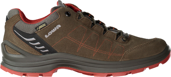 Tiago GTX Lo Hiking Shoes